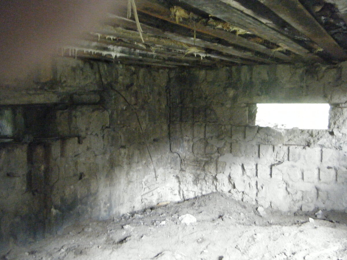DSCF4131.JPG