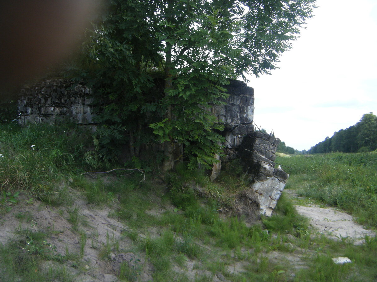 DSCF4137.JPG