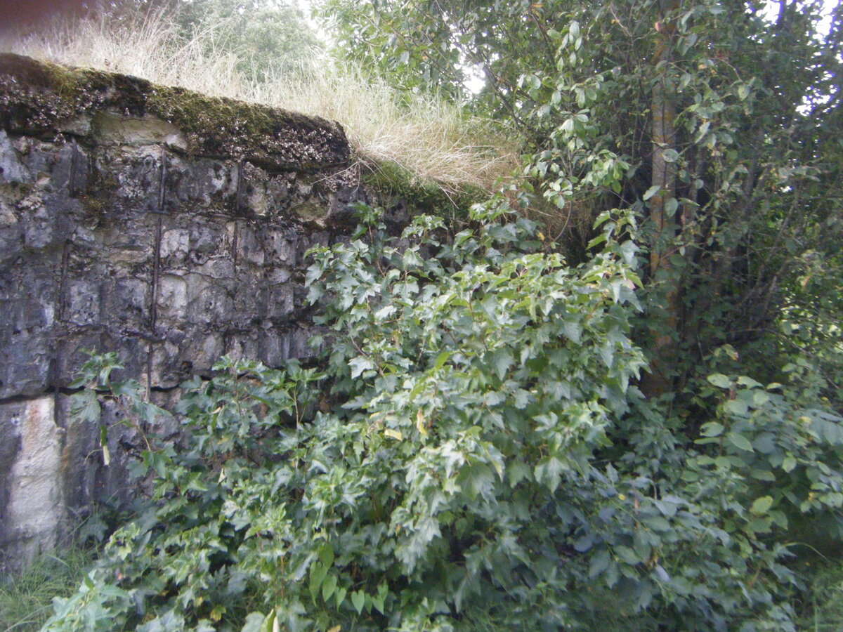 DSCF4139.JPG