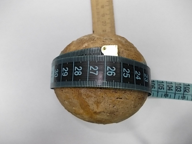 DSCN0187.JPG
