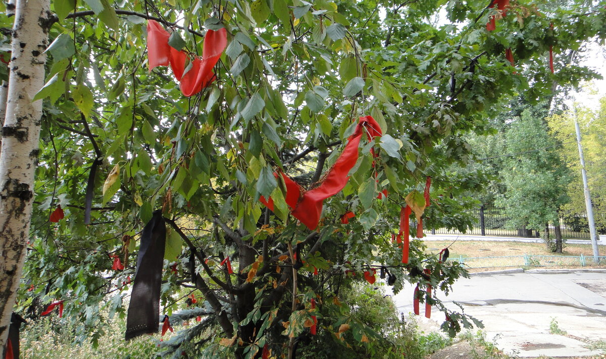DSC03995.JPG