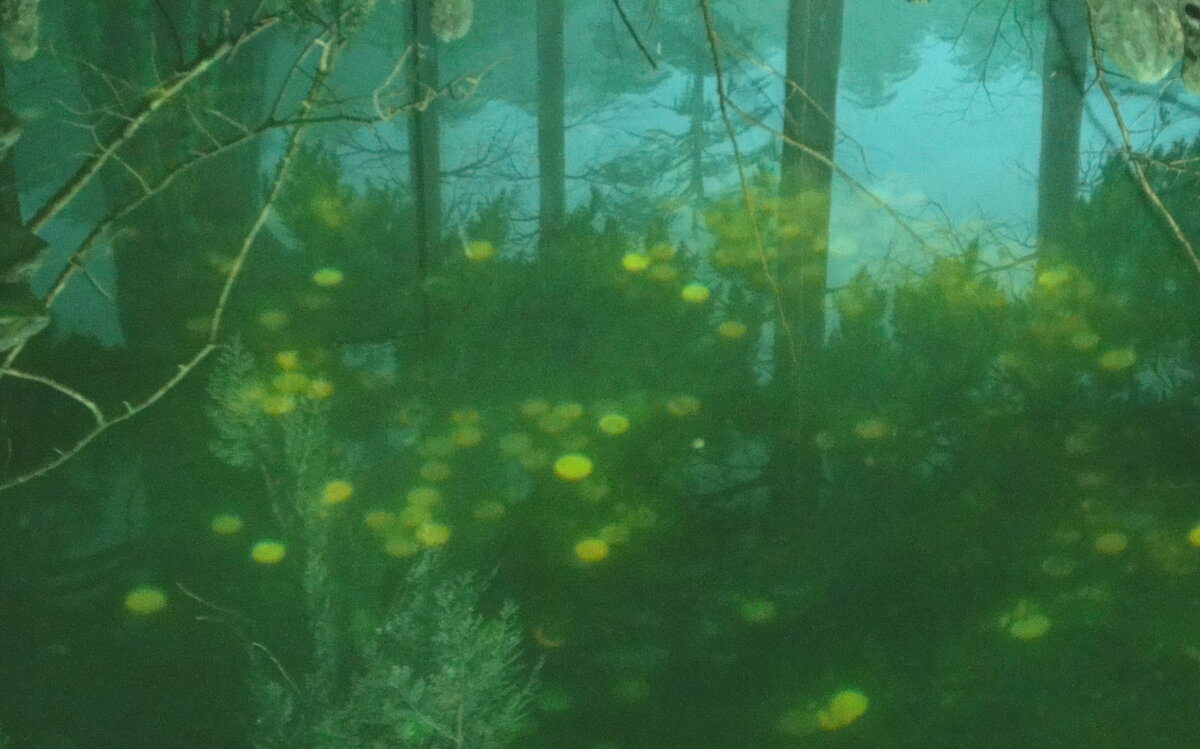 DSC04222.JPG
