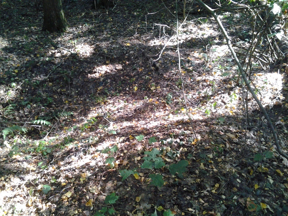 img3.jpg