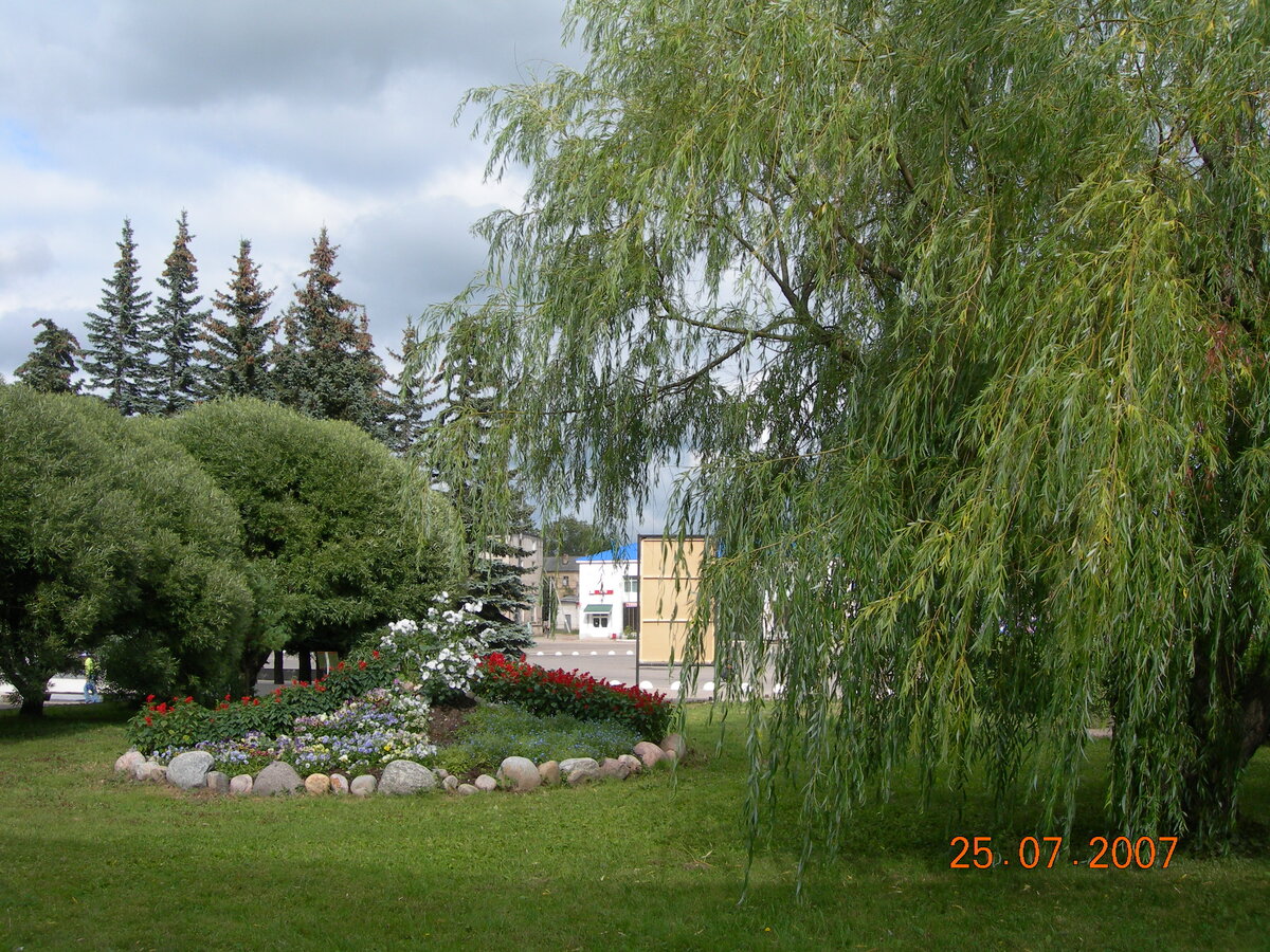 DSCN4205.JPG