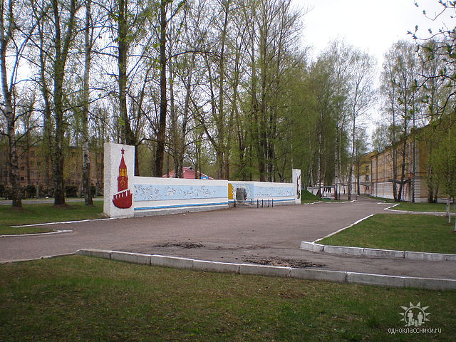 image (1).jpg