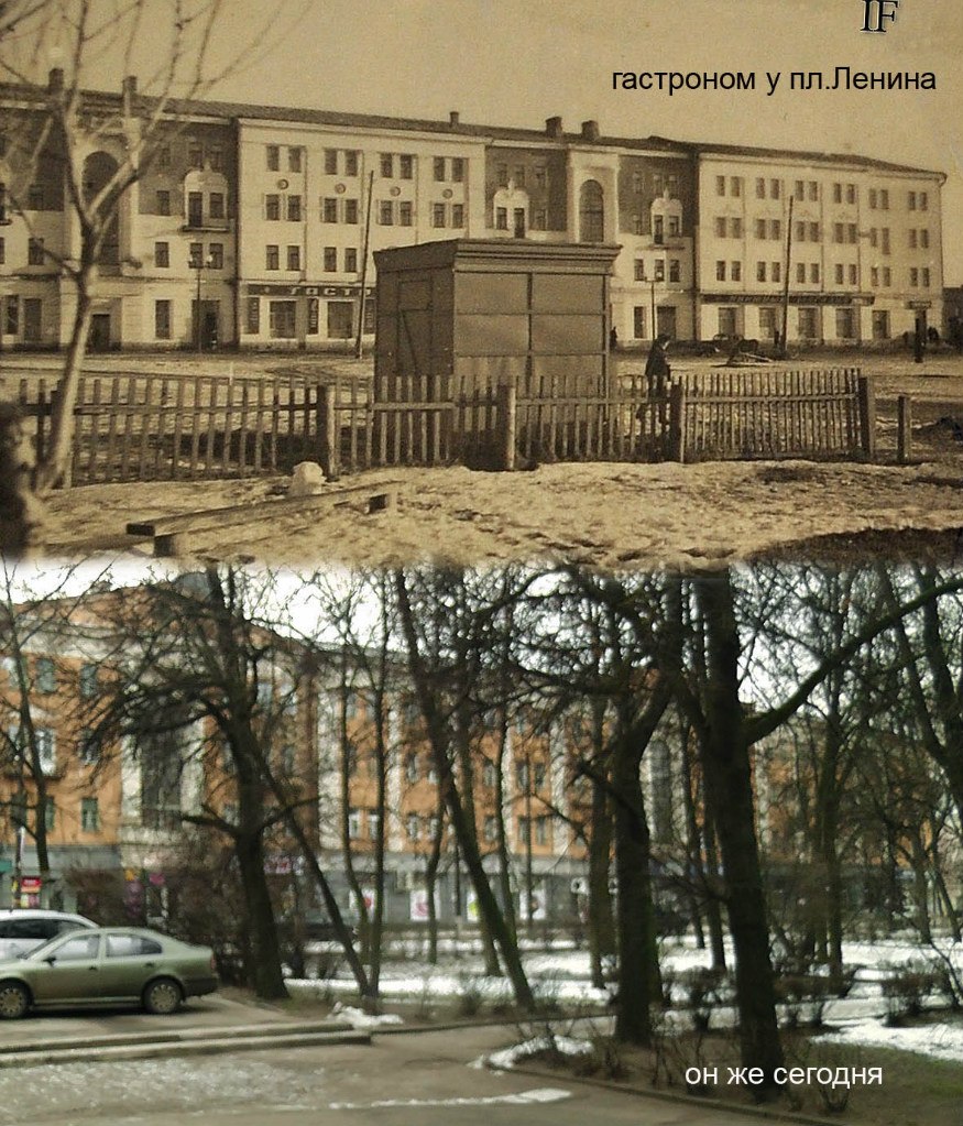 19.jpg