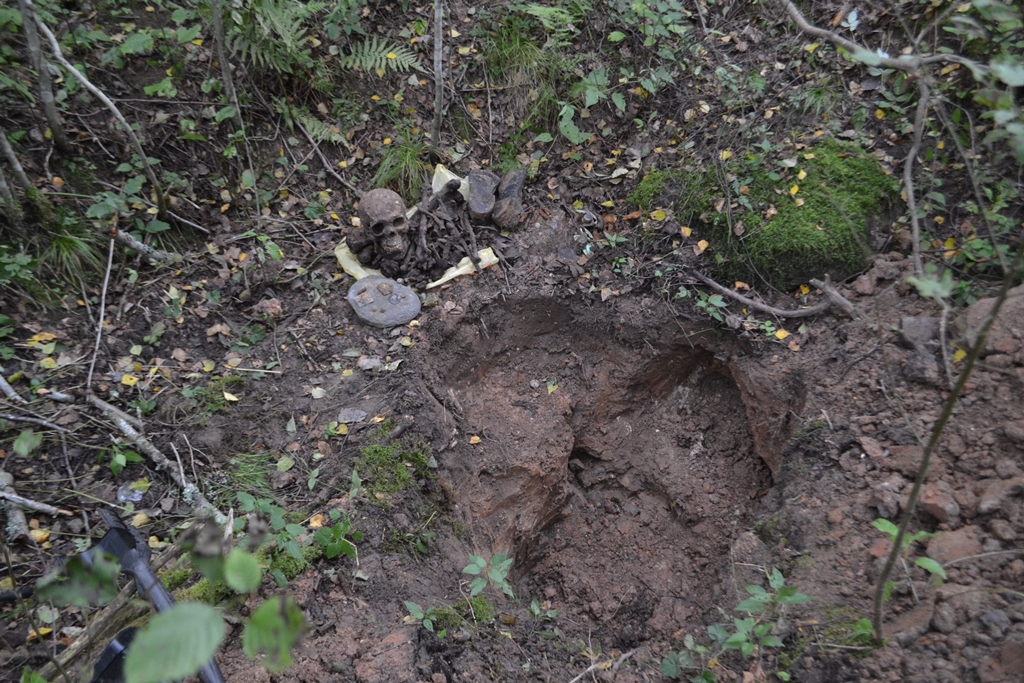 DSC_1345.JPG
