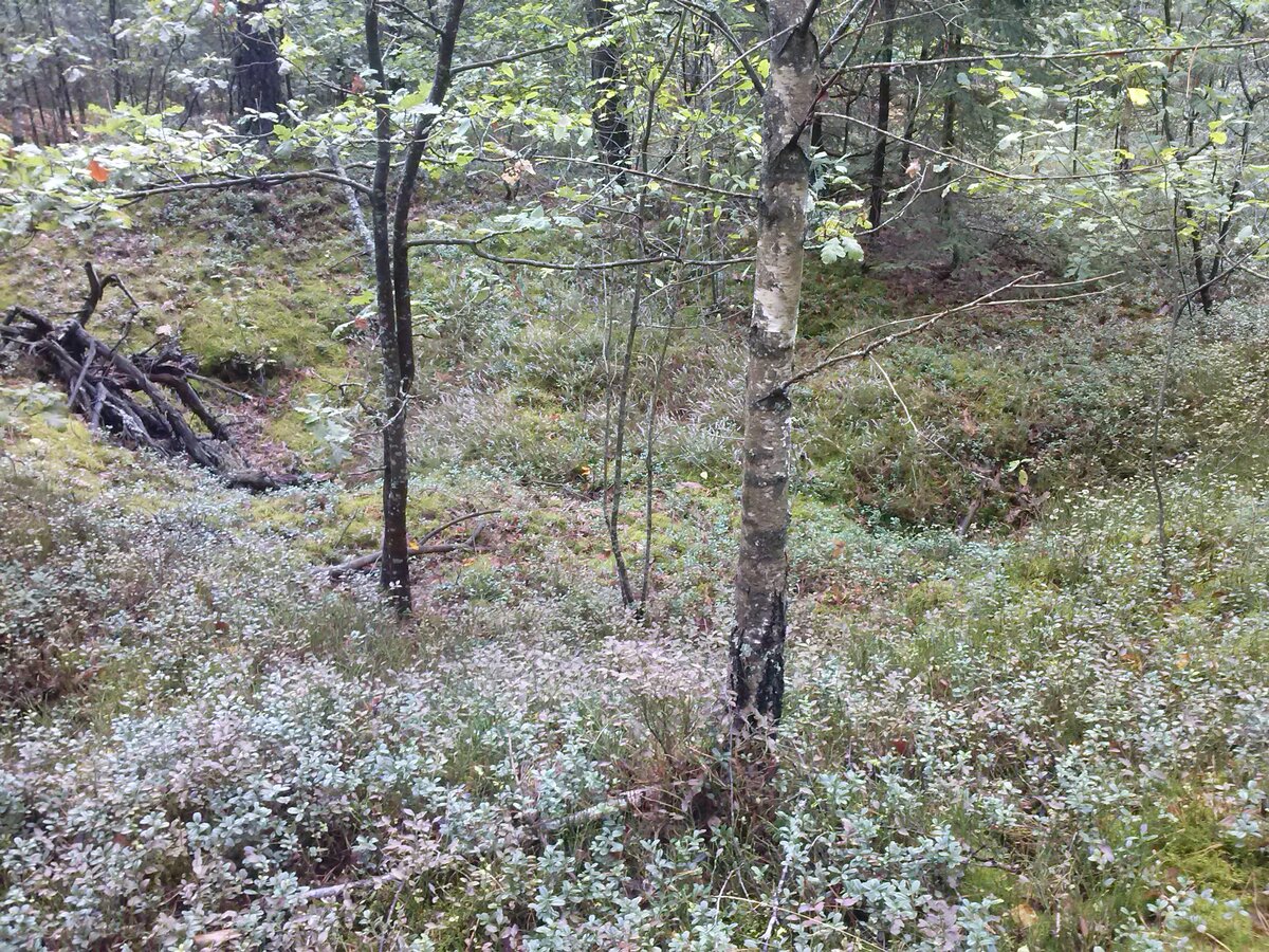 CAM00779.jpg