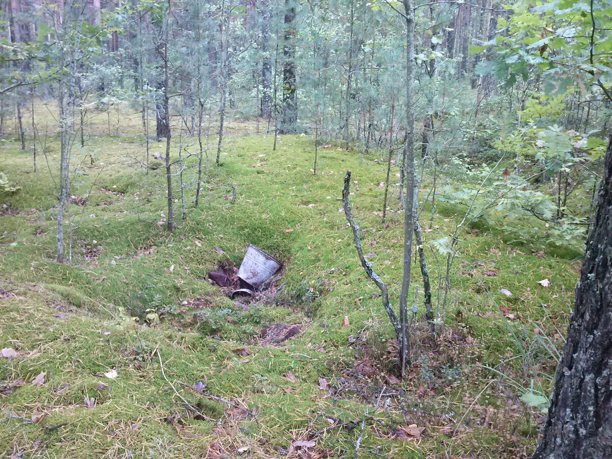 CAM00787.jpg