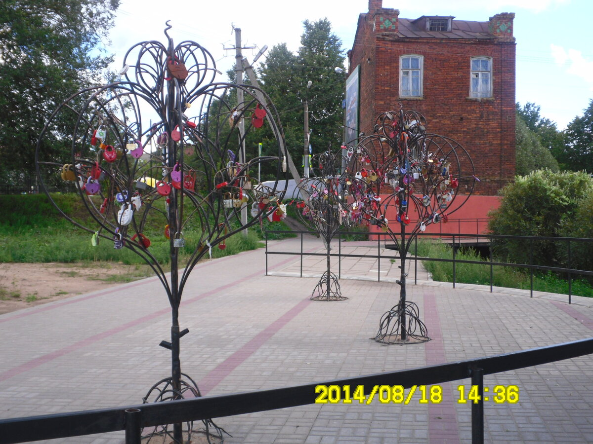 SAM_0871.JPG