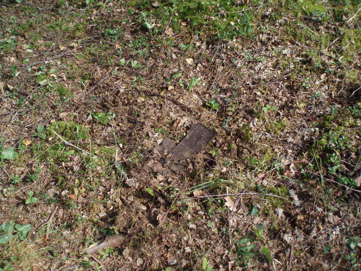avgust 2014 ilukste 028.jpg