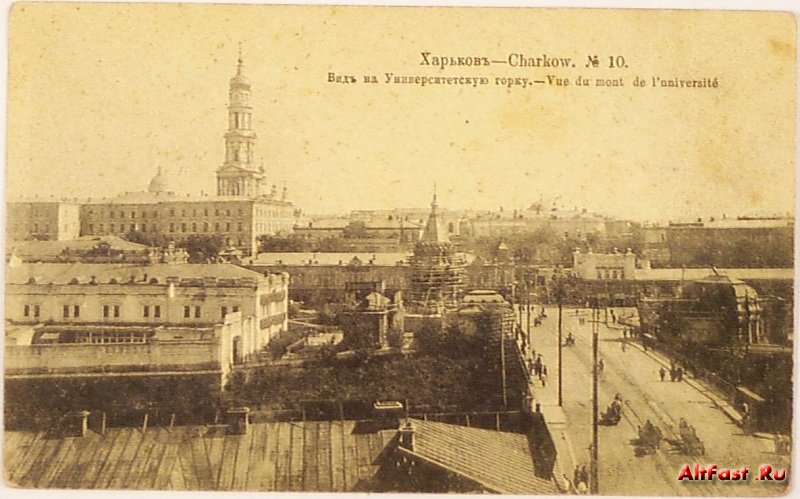 4608264_aba21470.jpg