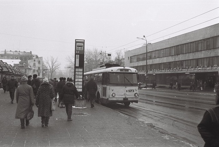 555.jpg