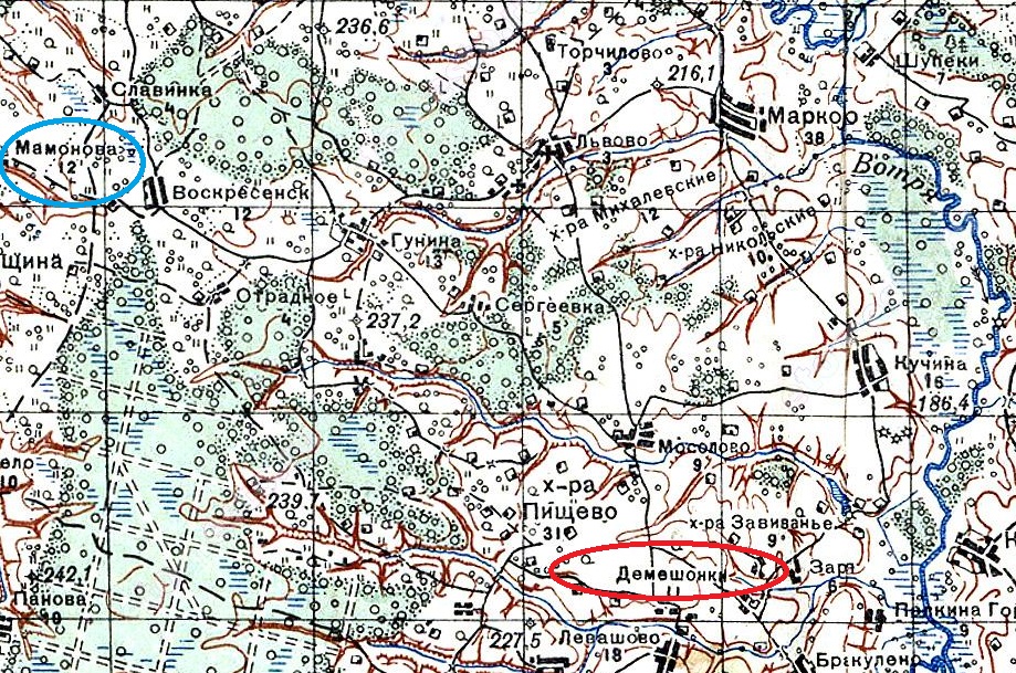 245570.jpg