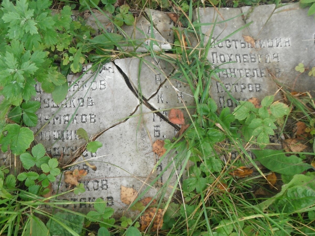 DSCF2842.JPG