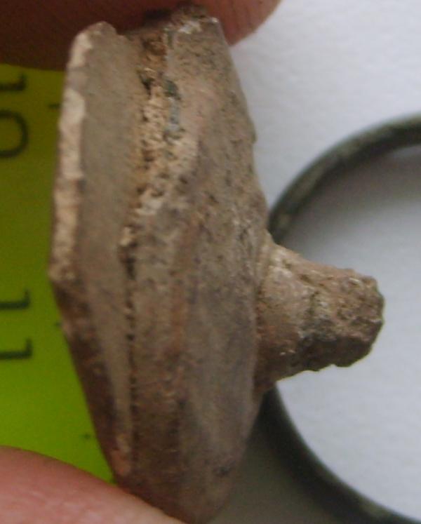 S6006675.JPG