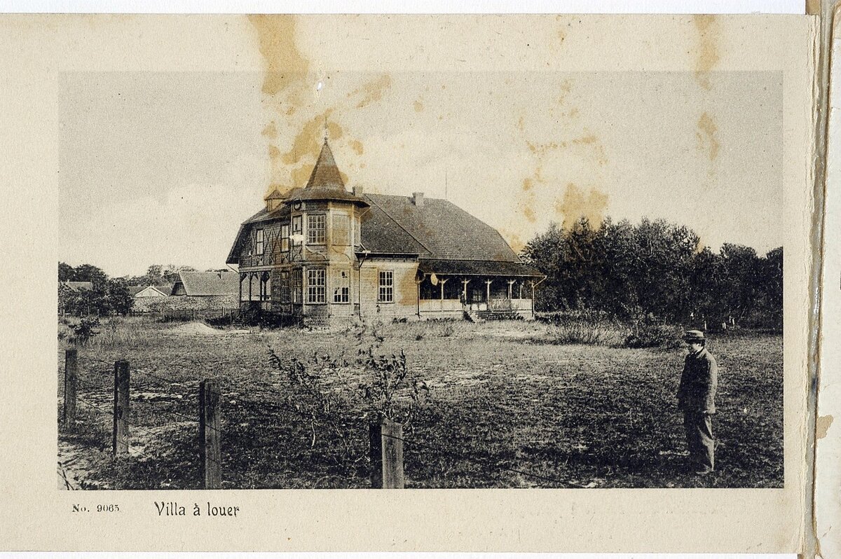 19.jpg