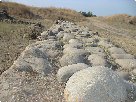 image_2120081.JPG