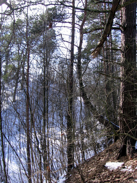 4-IMG_0378.JPG