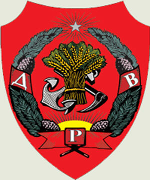nra-dv20.jpg
