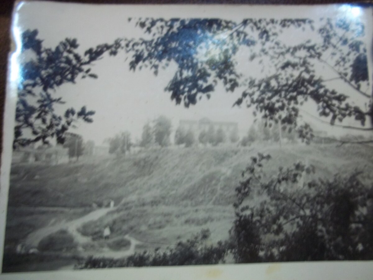 100_6047.JPG
