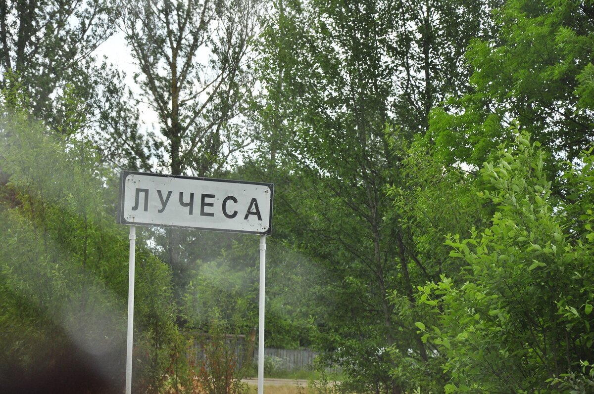 _DSC0035 (Копировать).jpg