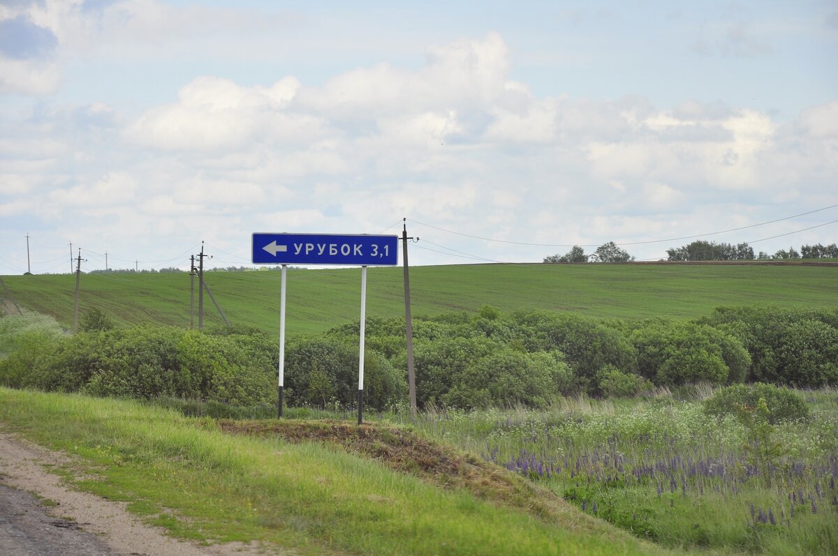 _DSC0046 (Копировать).jpg