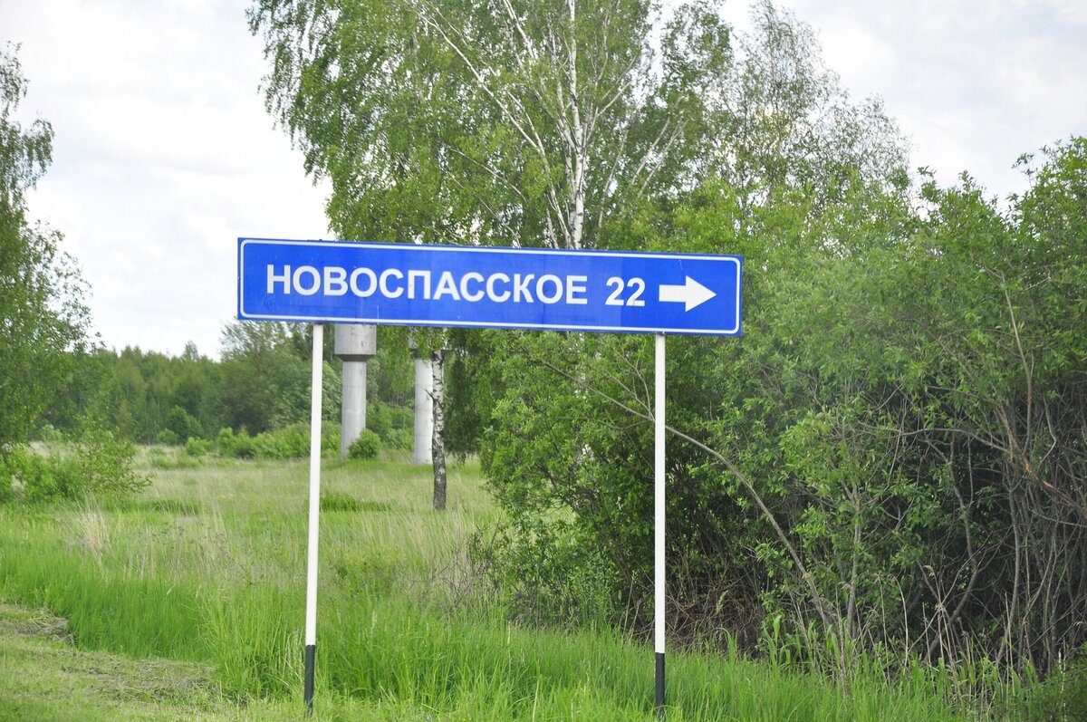 _DSC0080 (Копировать).jpg