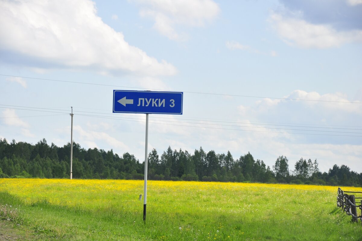 _DSC0100 (Копировать).jpg