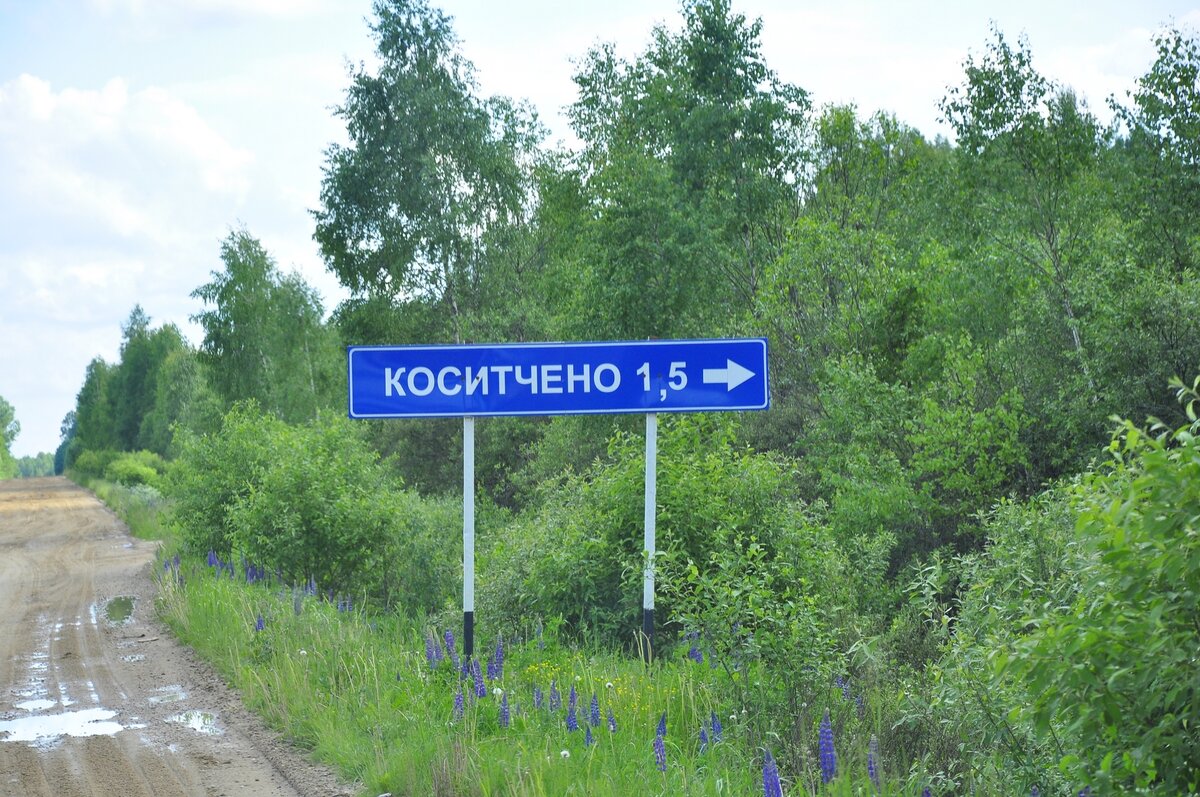 _DSC0104 (Копировать).jpg