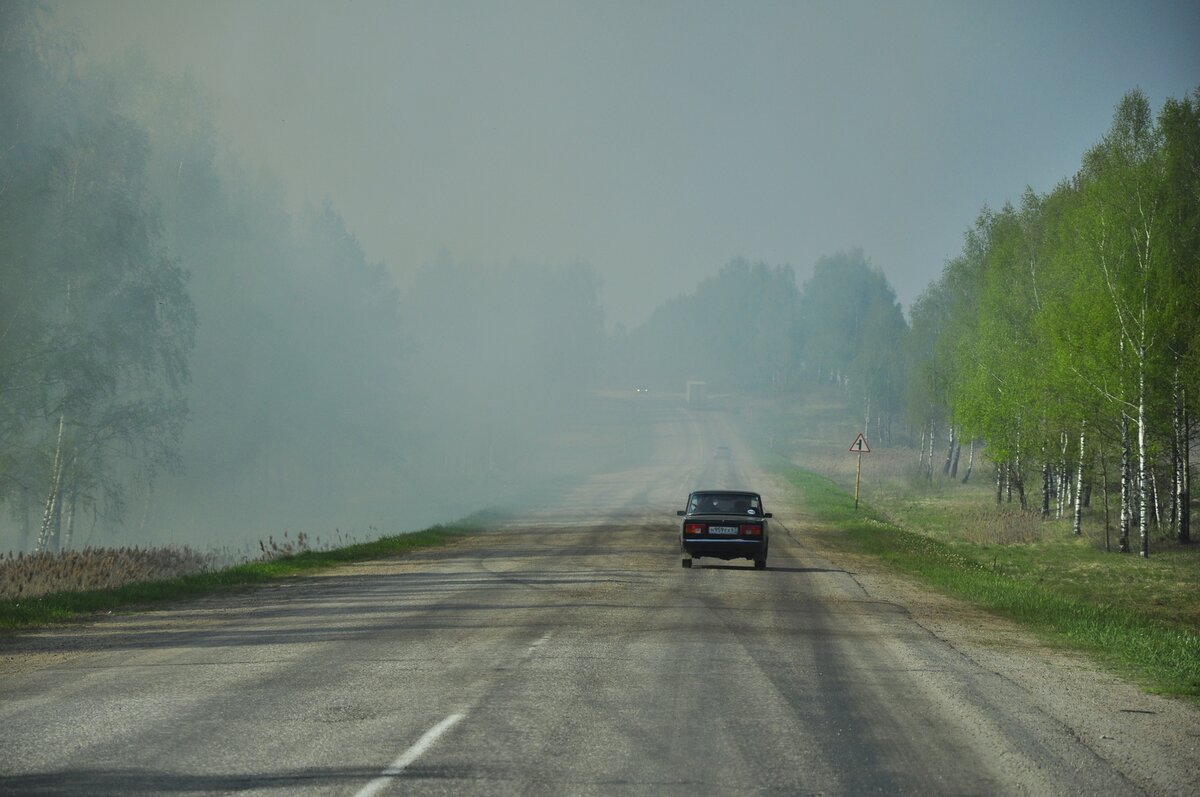 _DSC8794 (Копировать).jpg