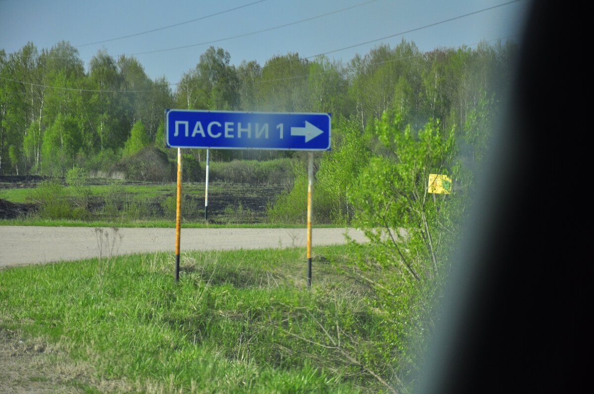 _DSC8815 (Копировать).jpg