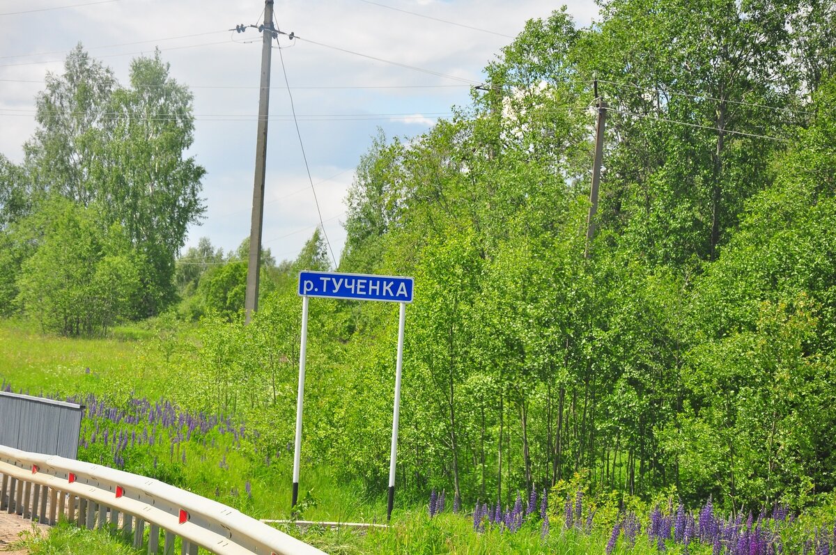 DSC_0069 (Копировать).jpg
