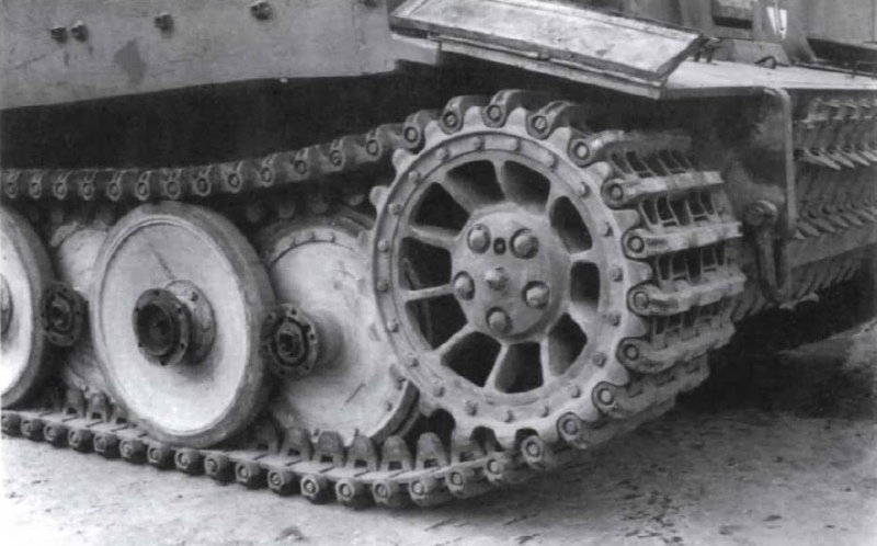TIGER (9).jpg