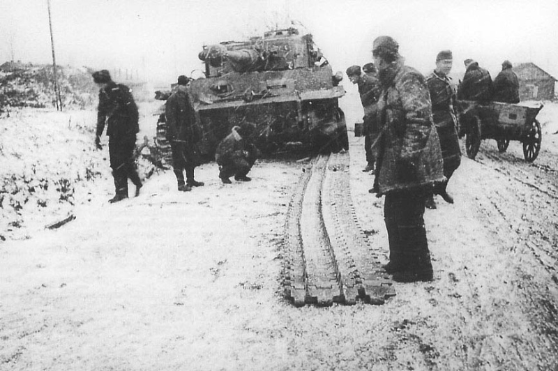 tiger snow.jpg