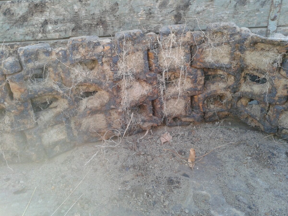 20141007_113318.jpg
