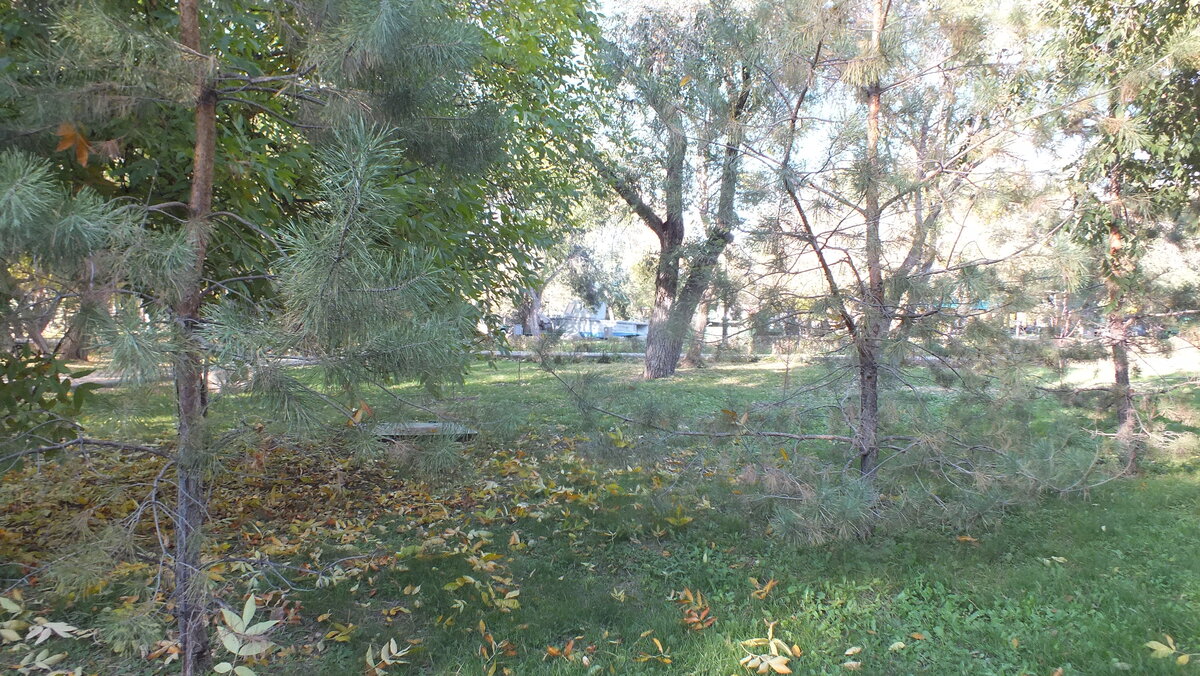 DSCF9329.JPG