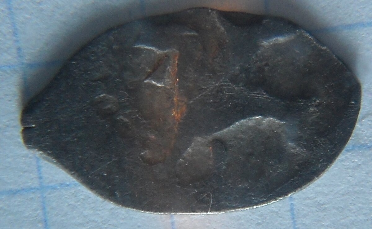 SDC16971.JPG
