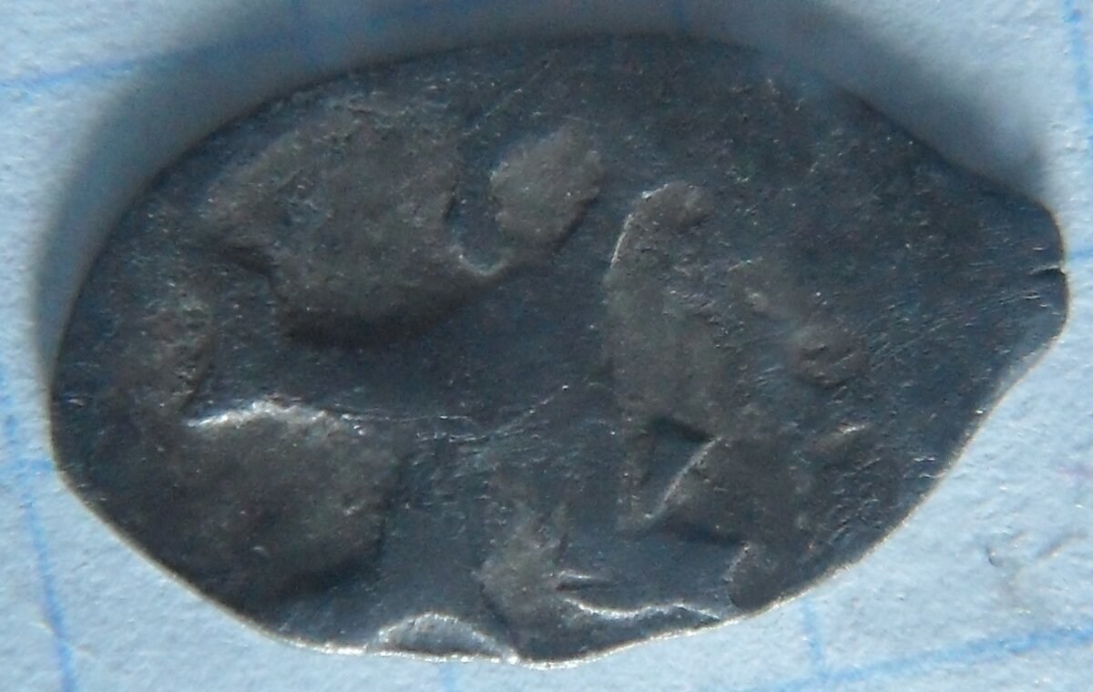 SDC16972.JPG