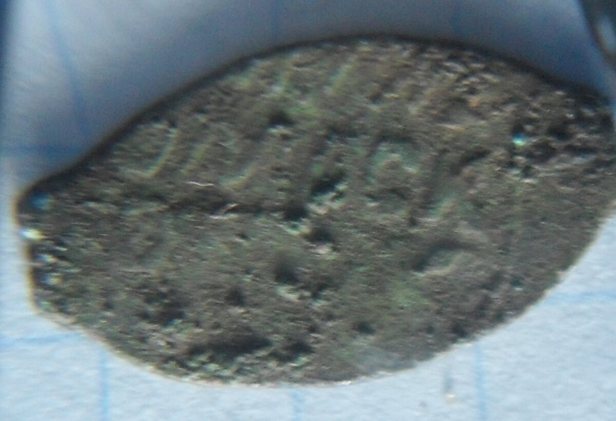 SDC16990.JPG
