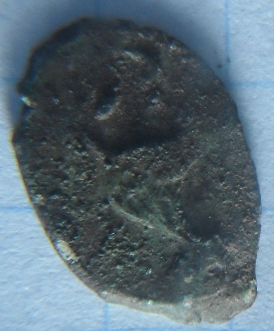 SDC16996.JPG