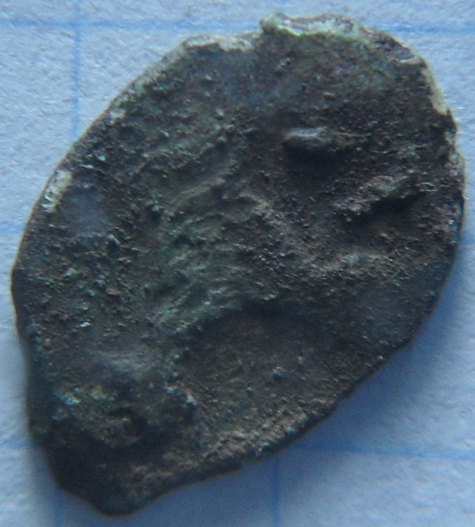 SDC16997.JPG