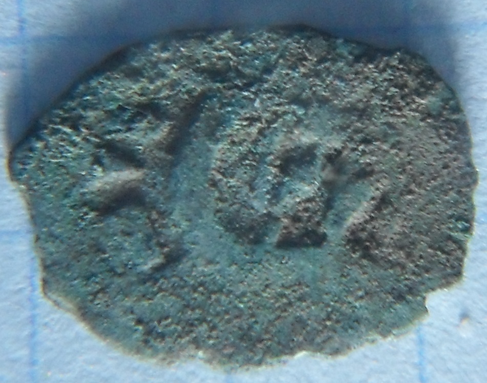 SDC16998.JPG