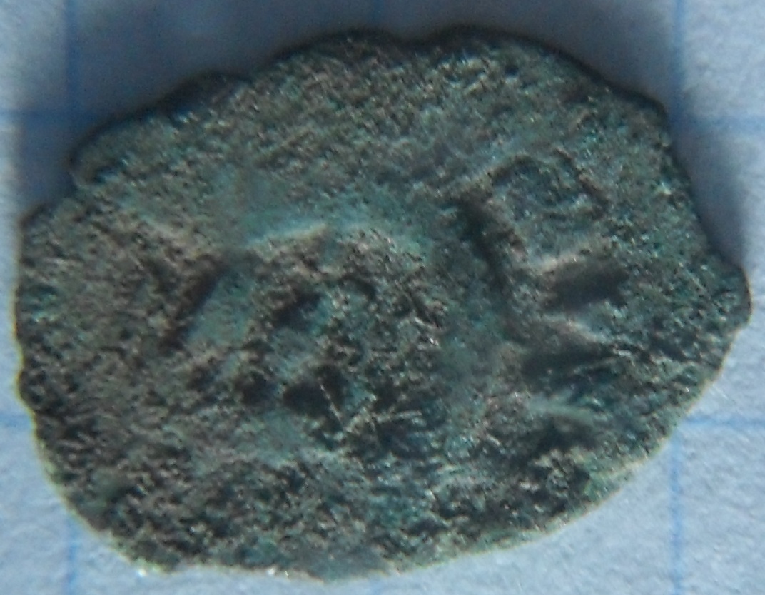 SDC16999.JPG