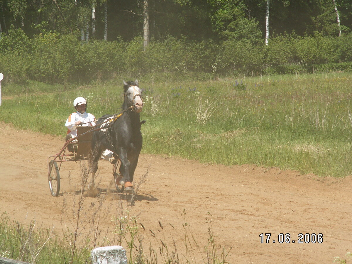 Алексино 17.06.2006 002.jpg