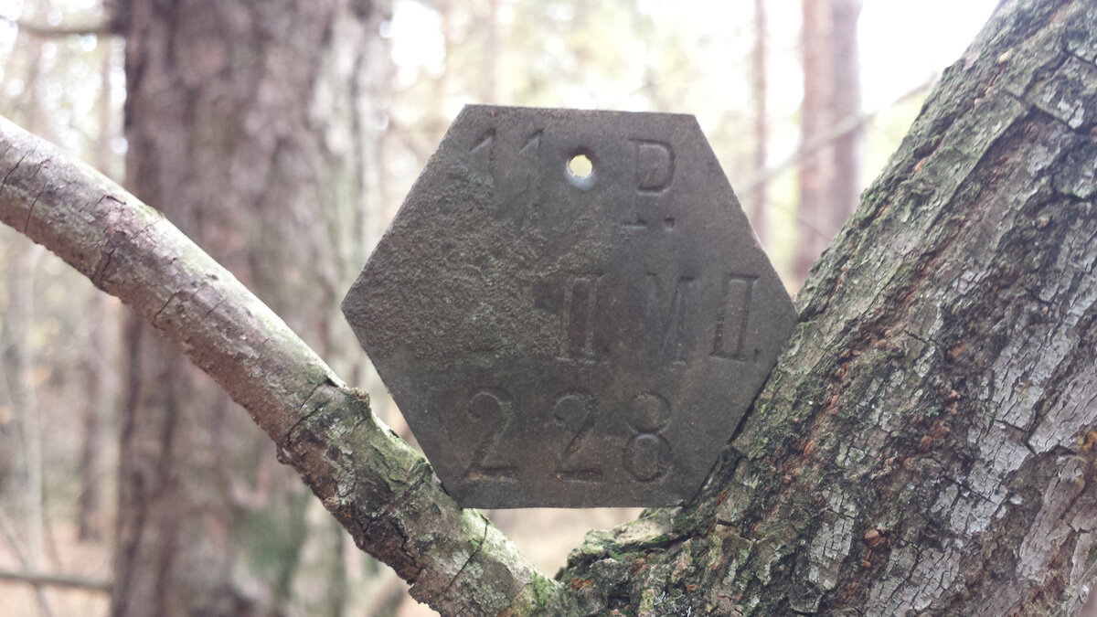 20141019_102901.jpg