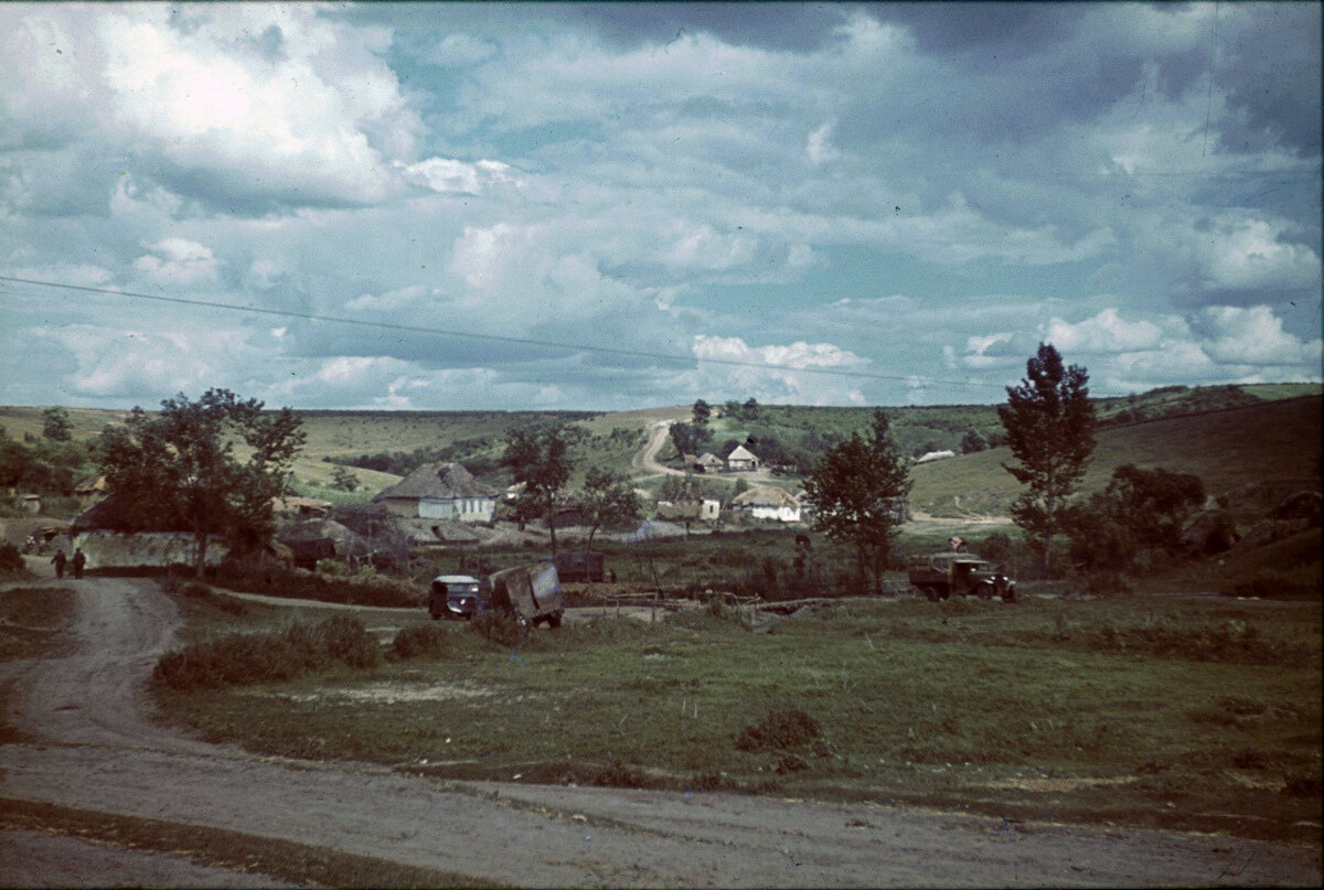 COL (47).jpg