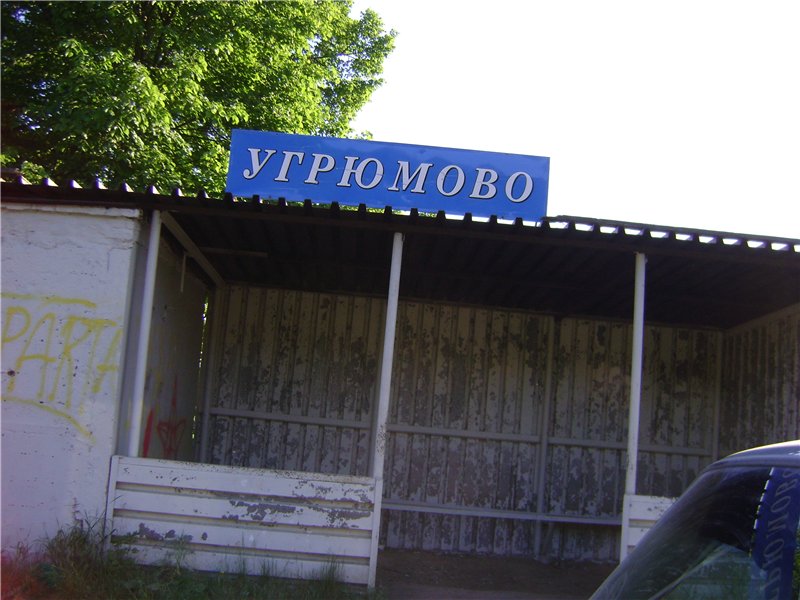 cd65d9e52b7c.jpg