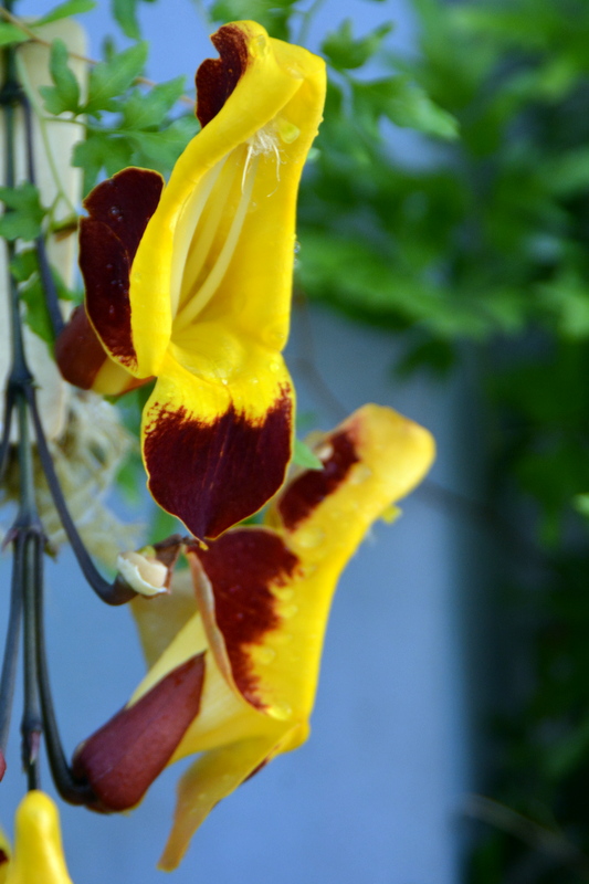 DSC_5453.JPG