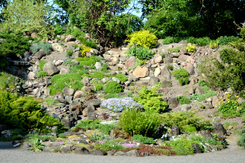 DSC_6168.JPG